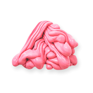 Chewing gum PNG-31924